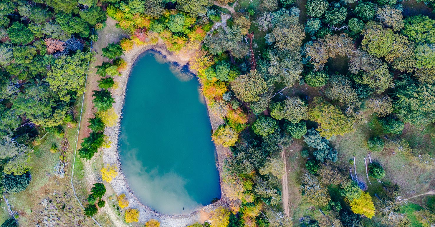 Aerial and Drone Photo and Video